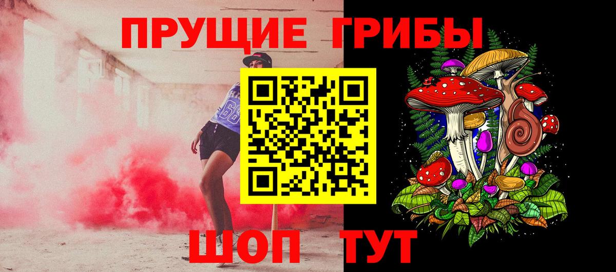 Михайловка  Галлюциногенные грибы MAGIC MUSHROOMS  Вход с VPN 