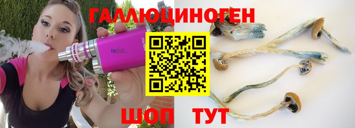 Галлюциногенные грибы ЛСД Михайловка